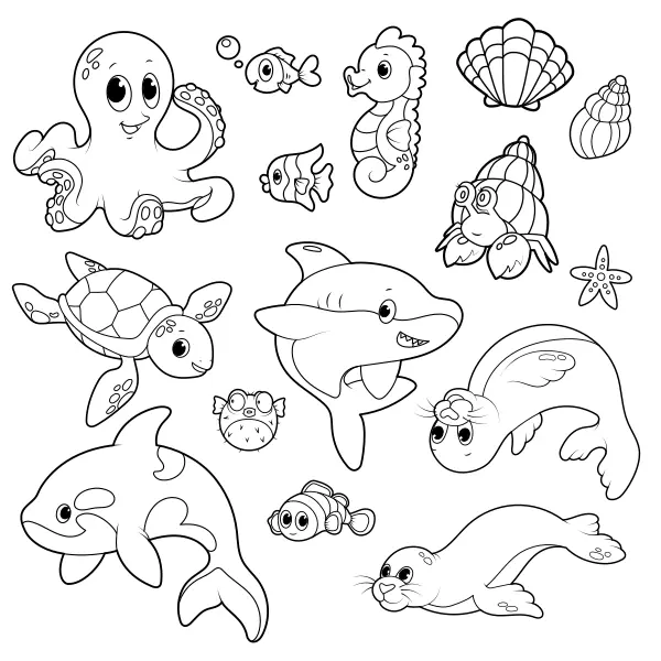 Zeedieren | Online kleurplaten voor kinderen