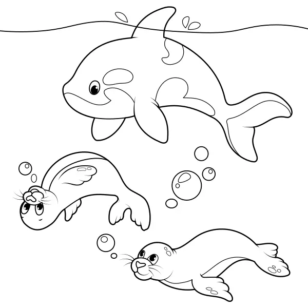 Zeehonden en orka’s | Online kleurplaten voor kinderen
