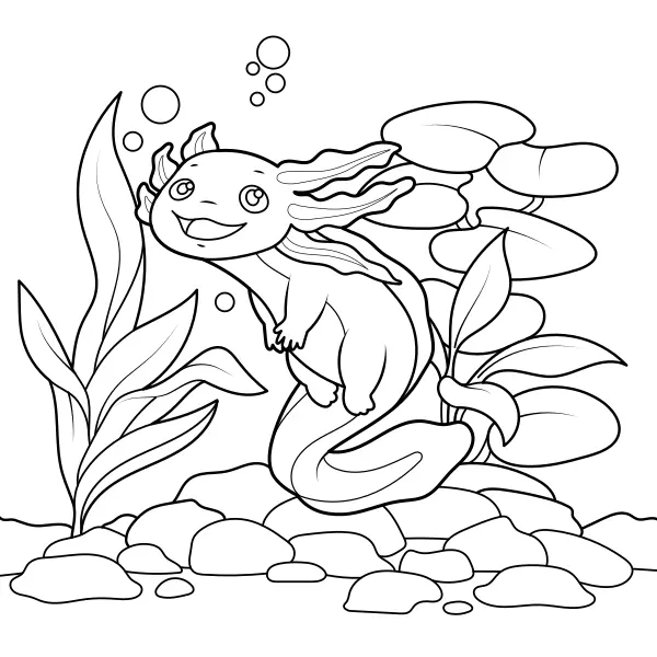 Axolotl | Online kleurplaten voor kinderen