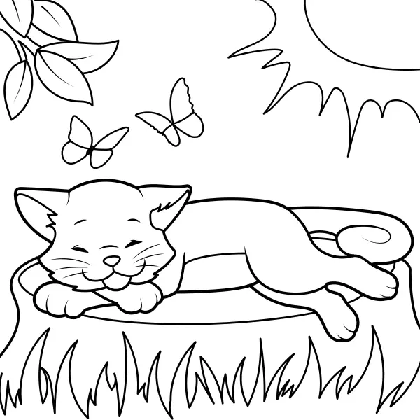 De kat ligt in de zon te zonnen | Online kleurplaten voor kinderen