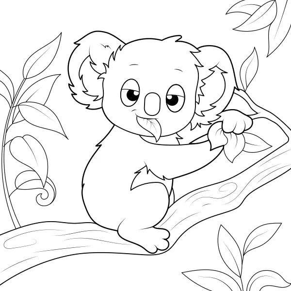 Koala | Online kleurplaten voor kinderen