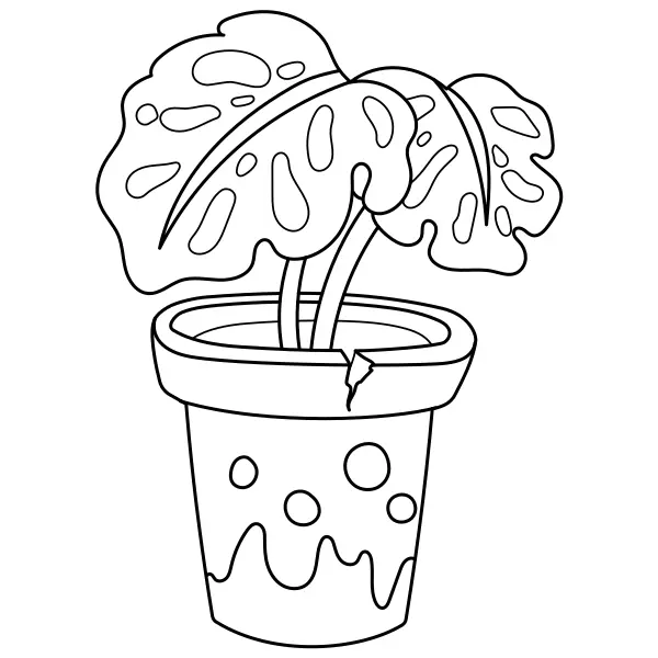 De Monstera-plant | Online kleurplaten voor kinderen